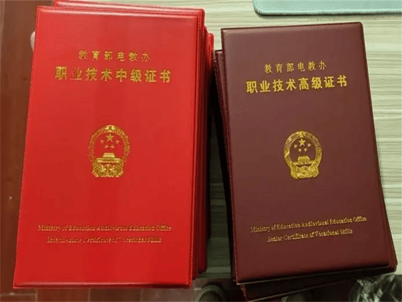 定制证书定制-红金大气喜庆风